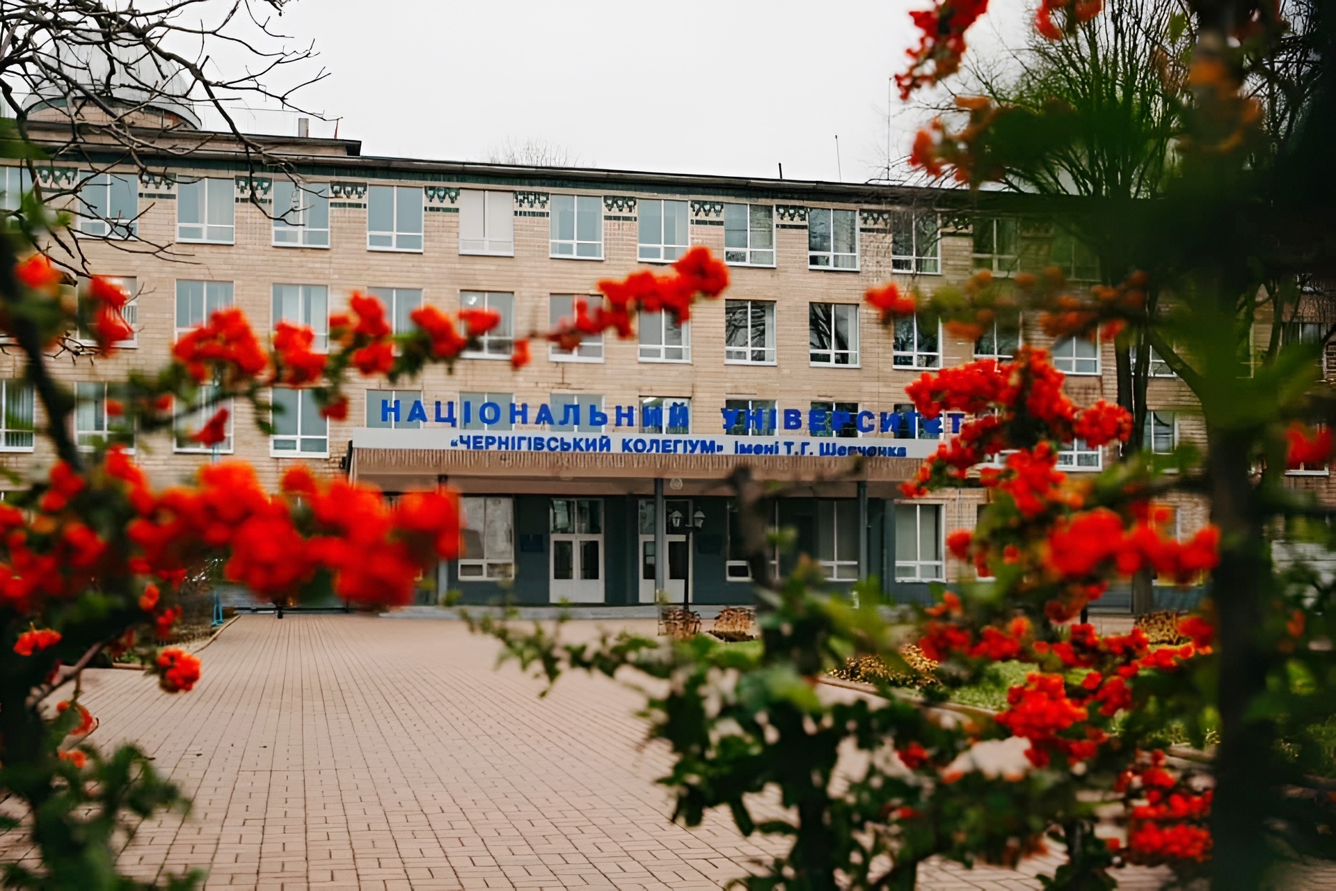 Національний університет «Чернігівський колегіум»